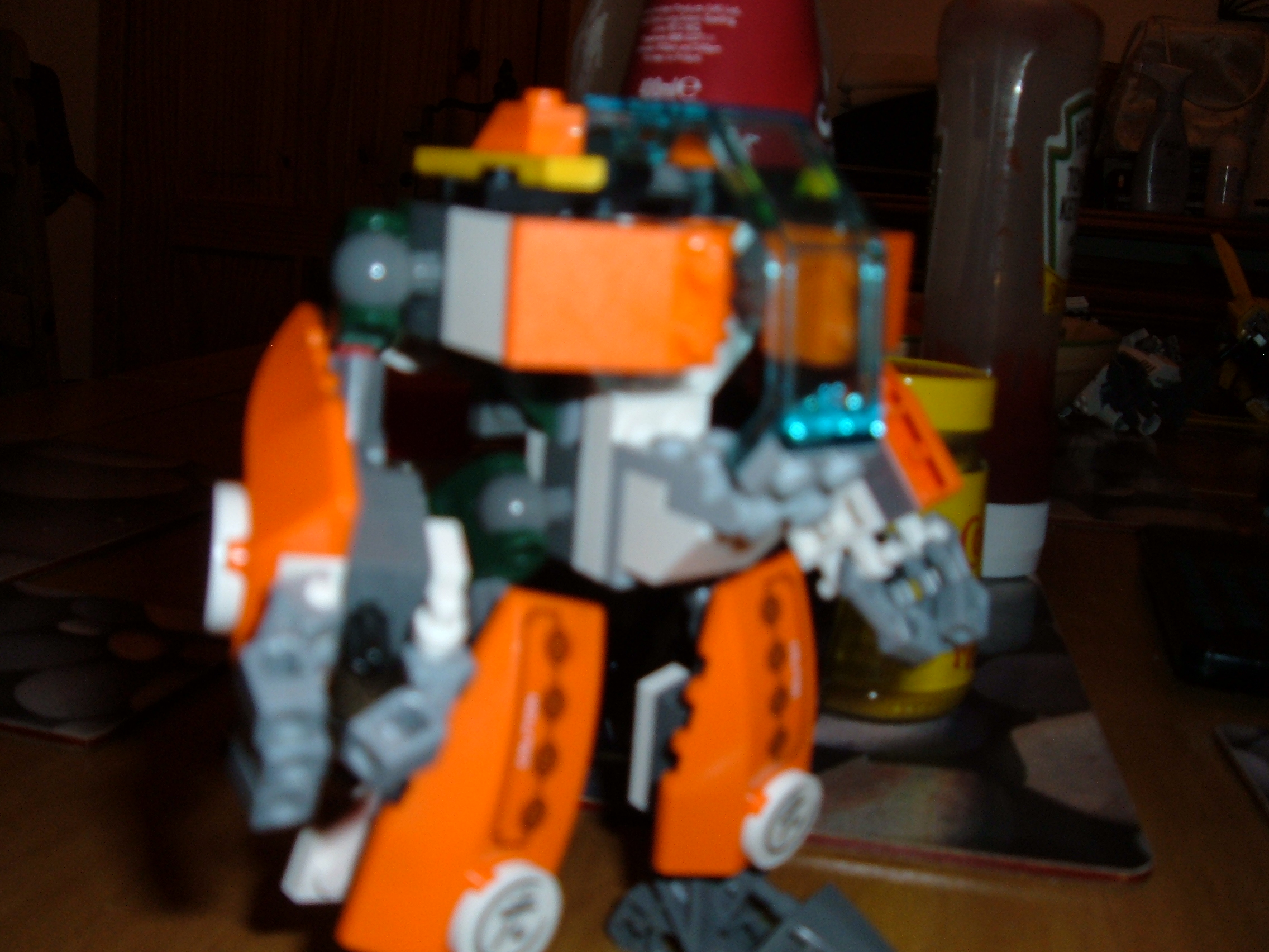 dscf0787.jpg