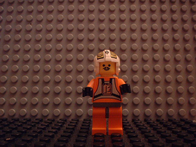 identity09.jpg