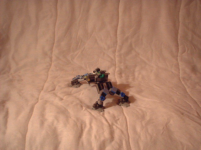 crapo06.jpg