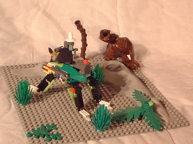 sotrel1.jpg