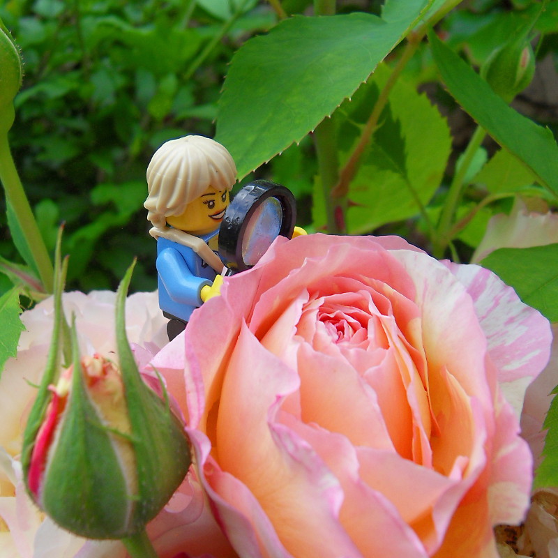 img_20160720_200230.jpg