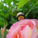 img_20160711_192837.jpg