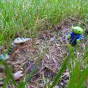 img_20160803_190015.jpg