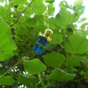 img_20160812_221307.jpg