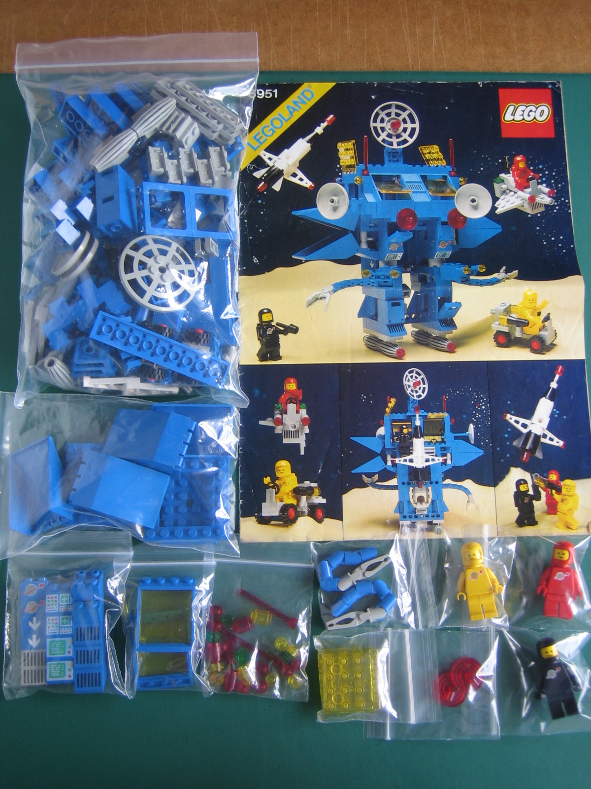 6951.jpg