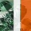 irishavatar.jpg