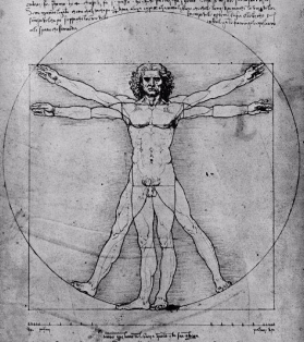 vitruvian.jpg