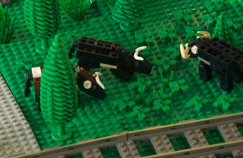 dsc_3200.jpg