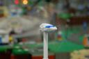 dsc_0761.jpg