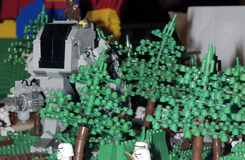 dsc_3713.jpg