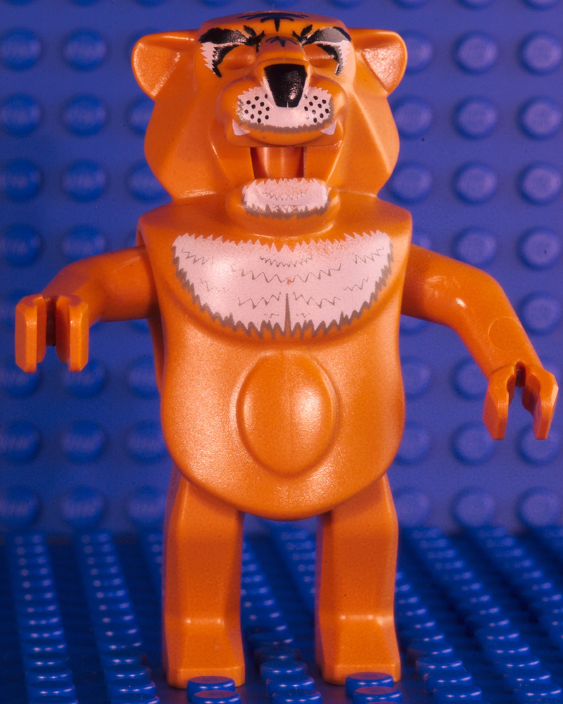 dsc_1910.jpg