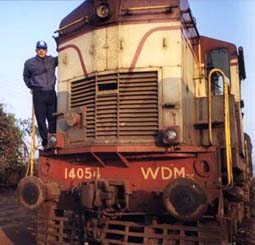 wdm2_01.jpg