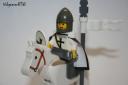 teutonic_knight1.jpg
