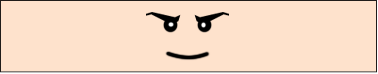 bskcase_face_2.bmp