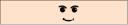 bskcase_face_1.bmp