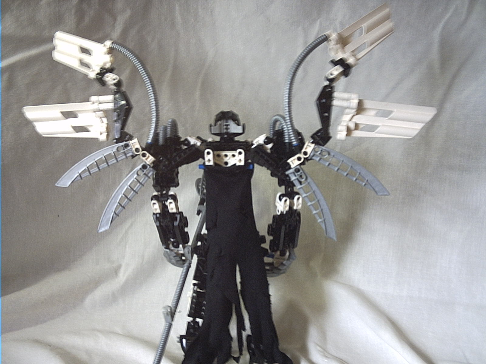wings_open.jpg