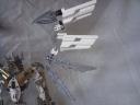 pict0081.jpg