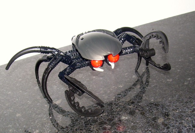 crab1.jpg