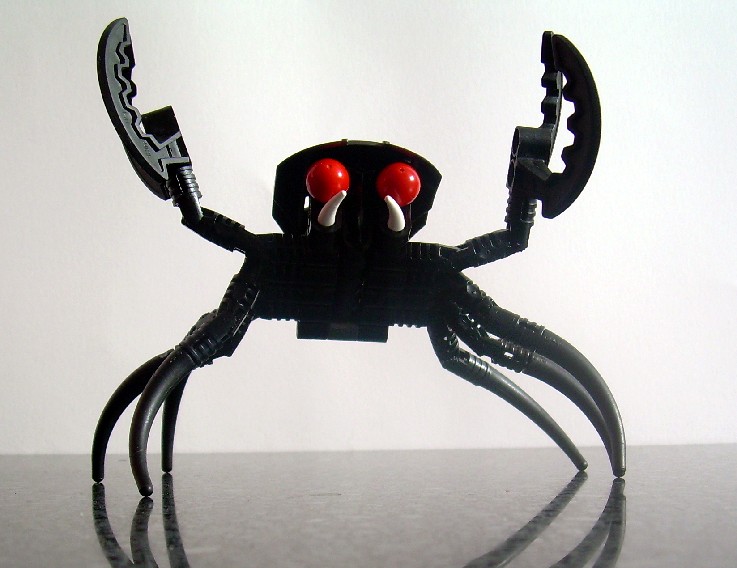 crab2.jpg