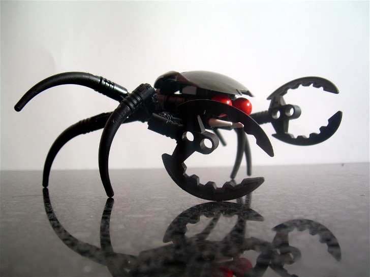 crab4.jpg