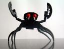 crab2.jpg