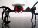 crab3.jpg