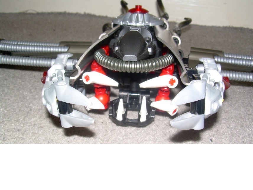 dscn5085.jpg