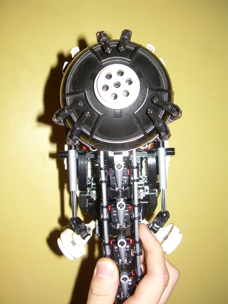 dscn6446.jpg