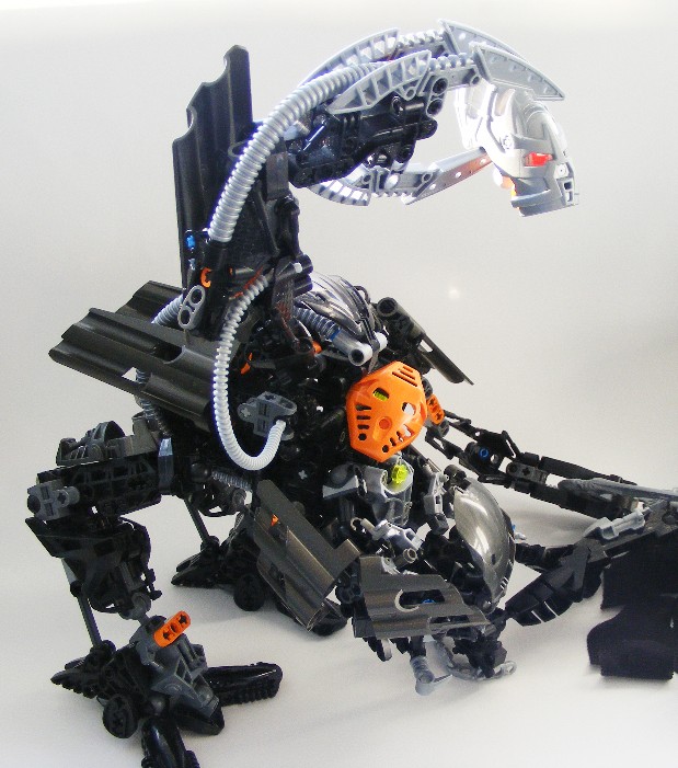 z5.jpg