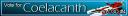 x_banner.gif