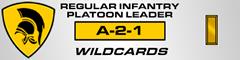 a-2-1_platoon_leader.jpg