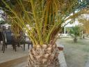 dsc05398.jpg