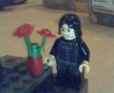 snapeflowers.png
