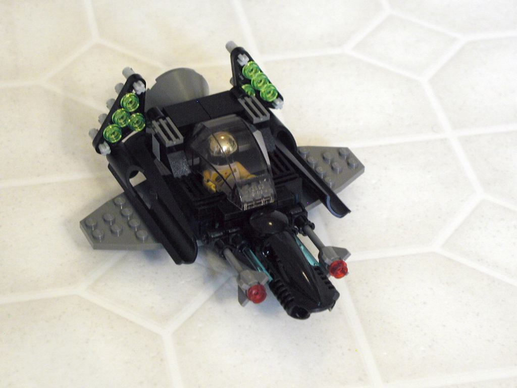 33w-100_raptor_crow1.jpg