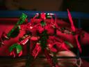 Bionicle-pics-4