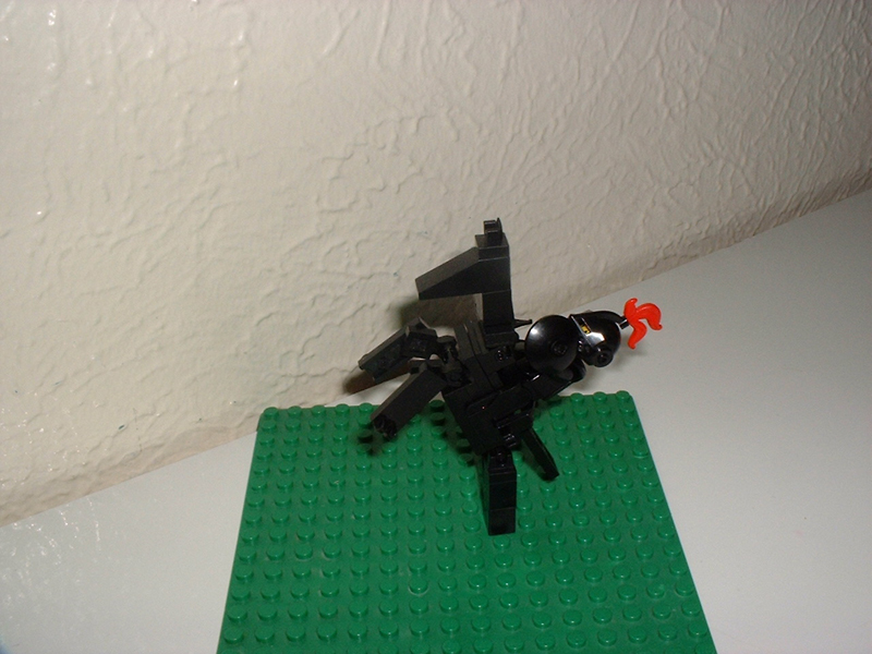 dscf0008.jpg