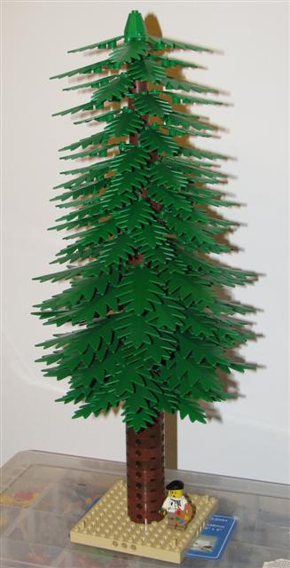 pinetree.jpg