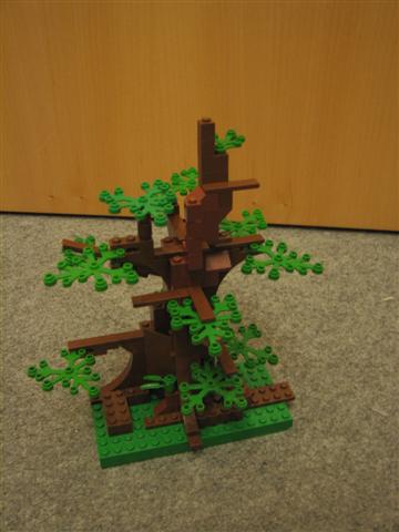 tree1.jpg