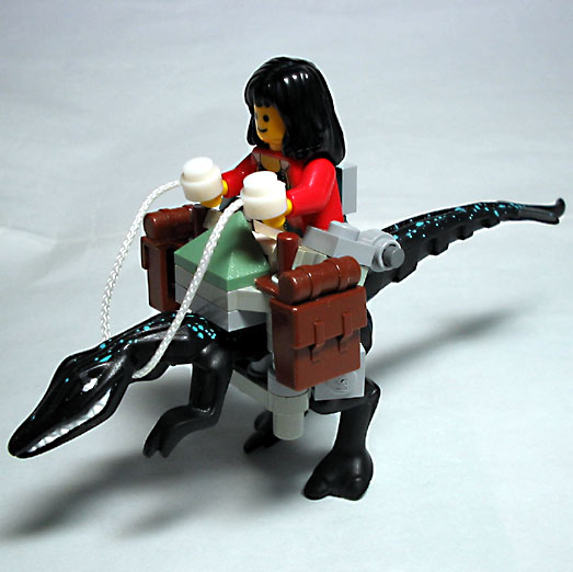 lizard-rider03.jpg