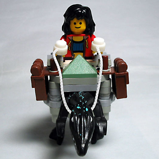 lizard-rider05.jpg