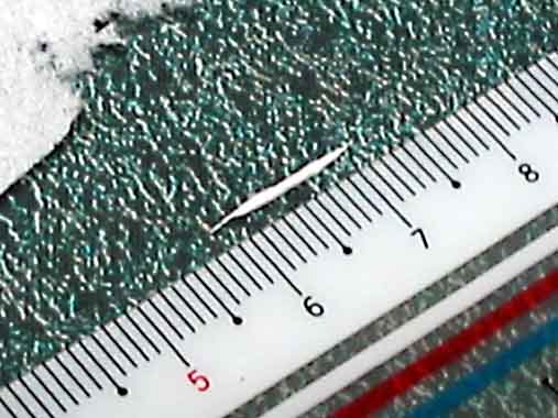 pin023.jpg