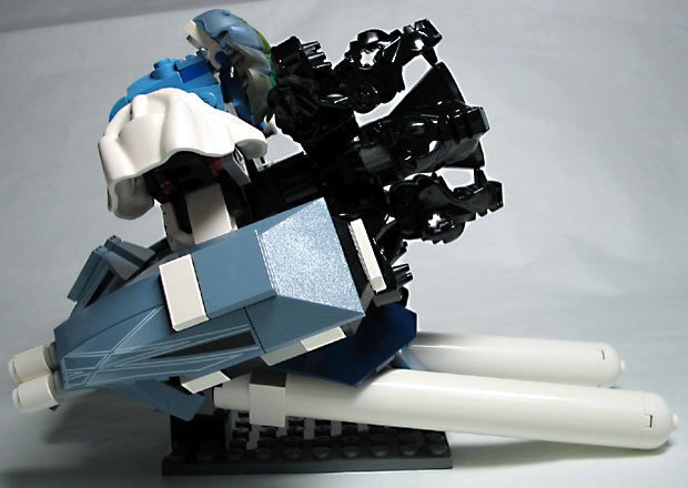 azami05.jpg