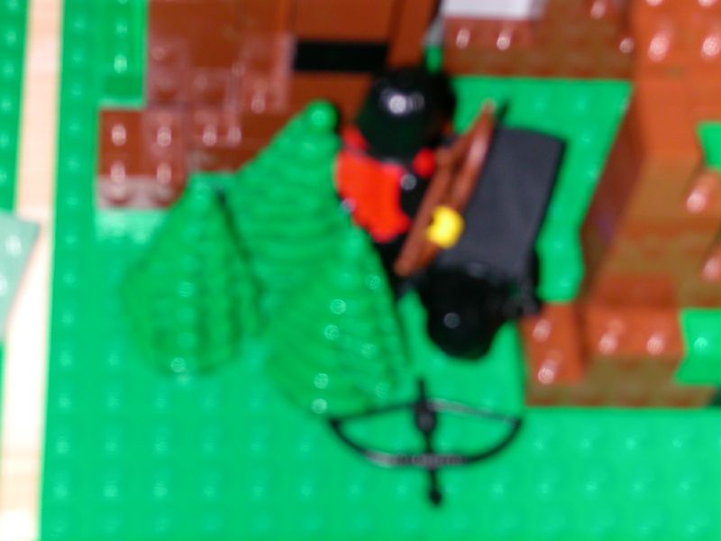 dscn3877.jpg