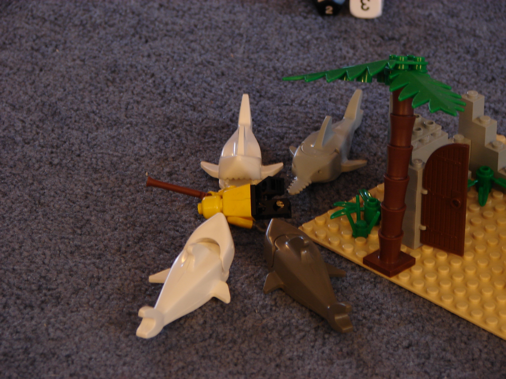 dsc01471.jpg