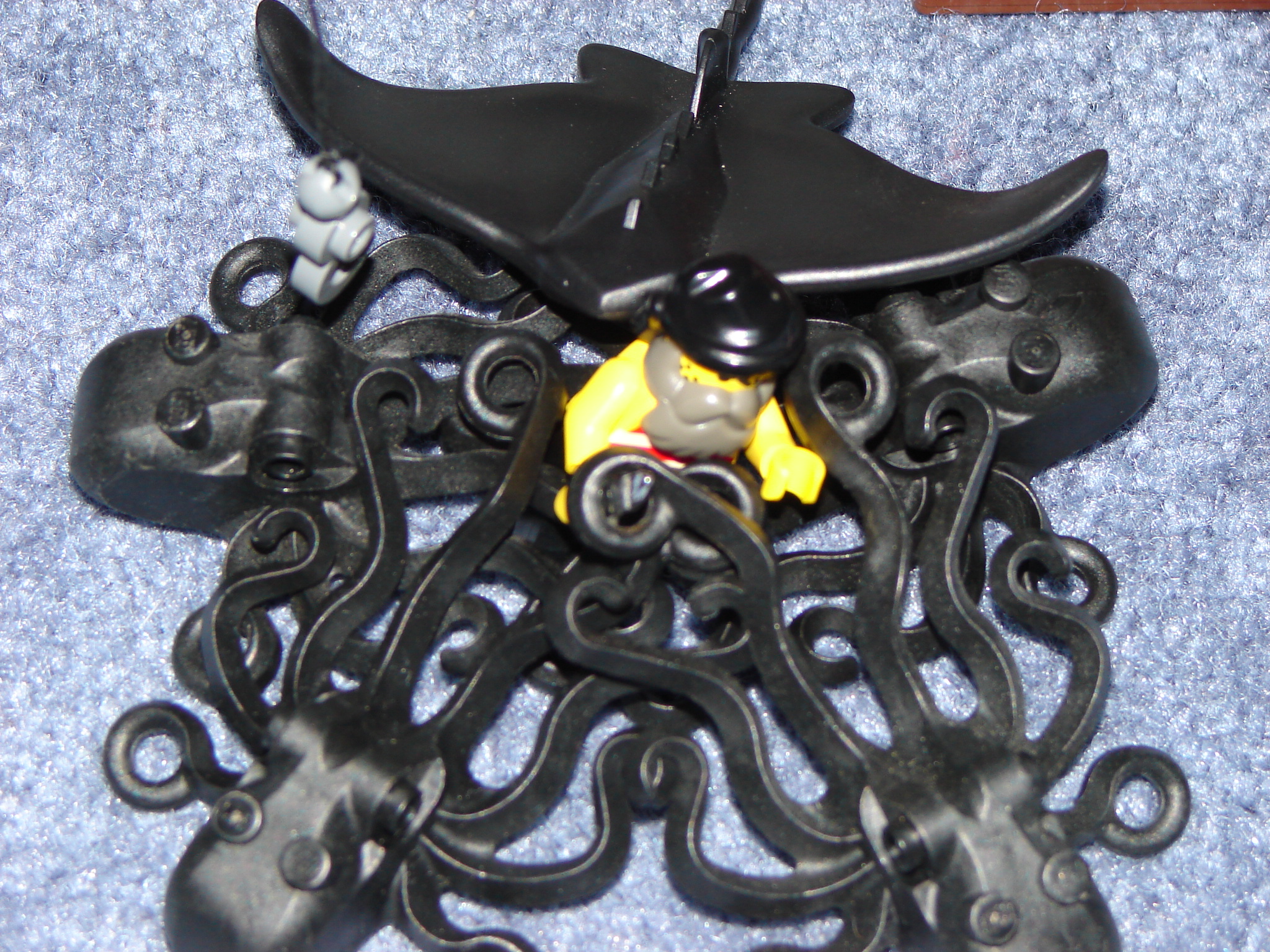 dsc01476.jpg