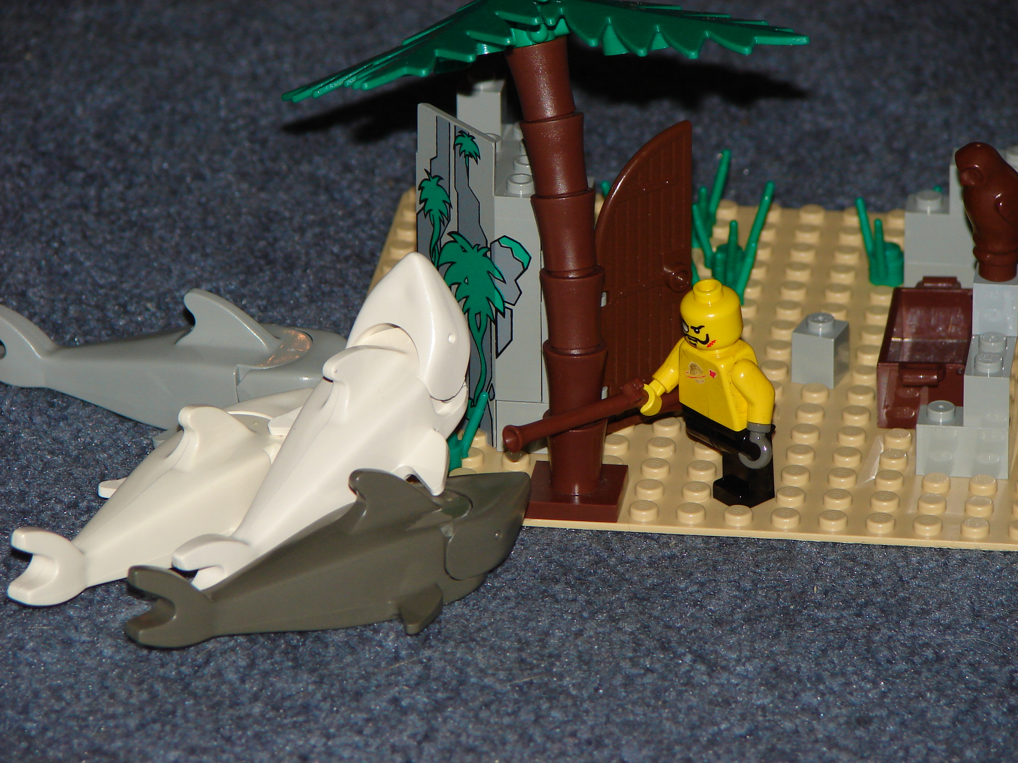 dsc01482.jpg
