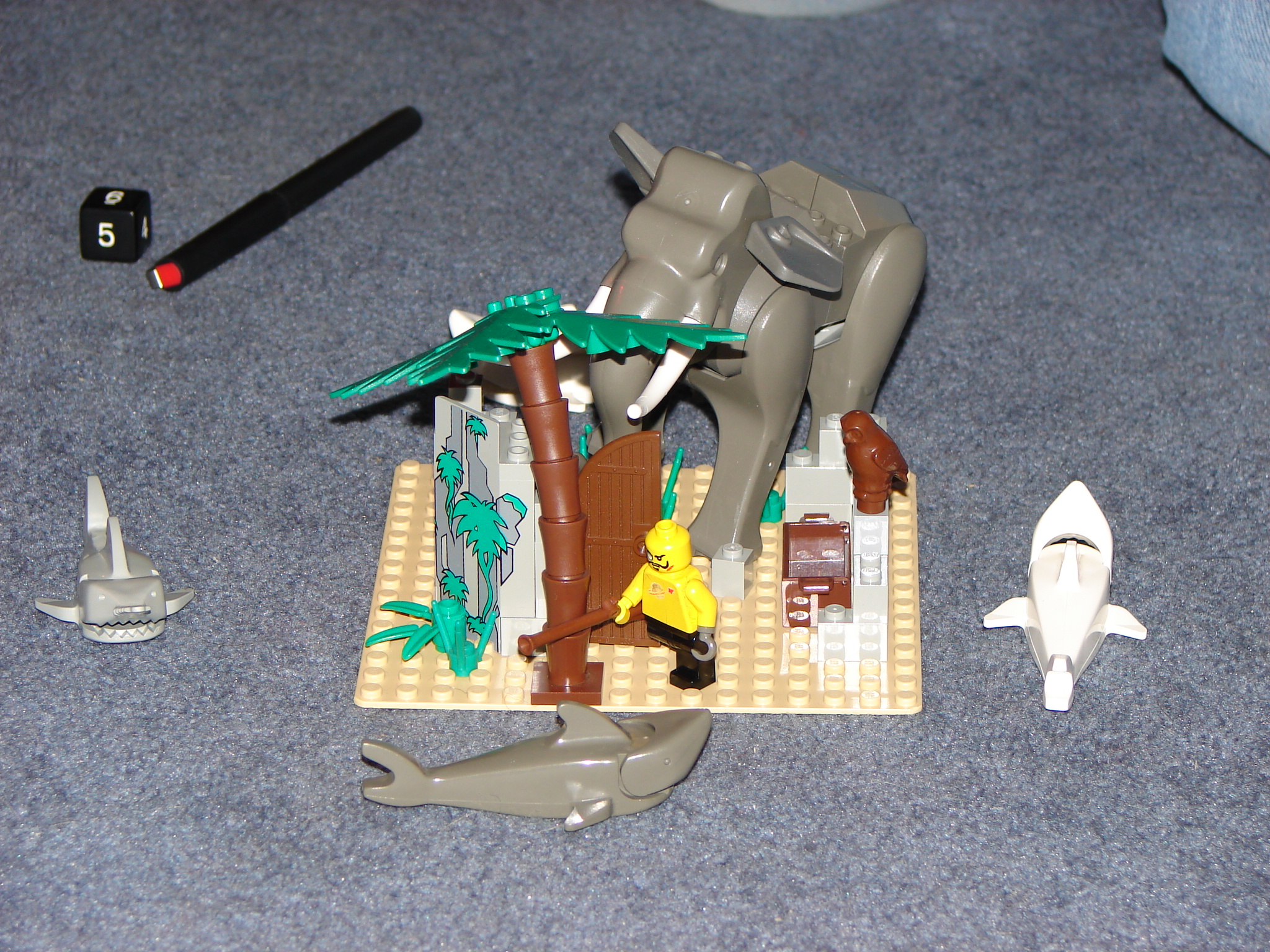 dsc01484.jpg