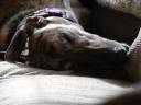 dsc01407.jpg
