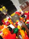 dsc01662.jpg
