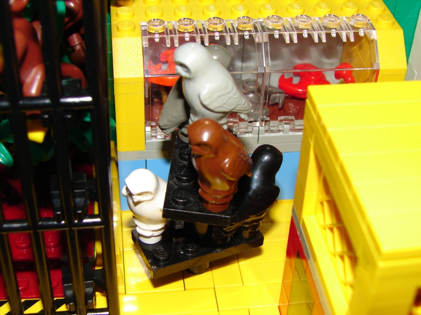 dsc02234.jpg